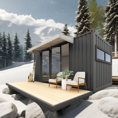 Log 20ft Eco-Friendly Flat Pack Container House Prefabbricato Costruzione sostenibile Struttura in acciaio Resiliente Pioggia Vento Negozio di neve