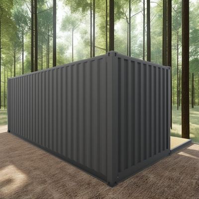 Log 20ft Eco-Friendly Flat Pack Container House Prefabbricato Costruzione sostenibile Struttura in acciaio Resiliente Pioggia Vento Negozio di neve