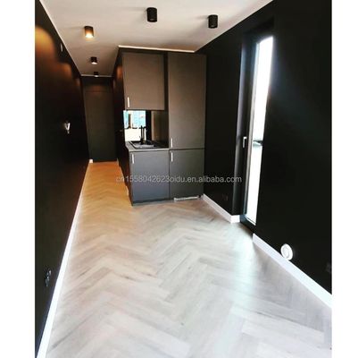 Leggio di alluminio Finestre 40ft Contenitore Ristrutturazione per la famiglia in giardino camera da letto residenziale soggiorno bagno