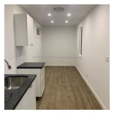 Colore personalizzato e stile di design moderno per i moderni container da 40 piedi in alta domanda