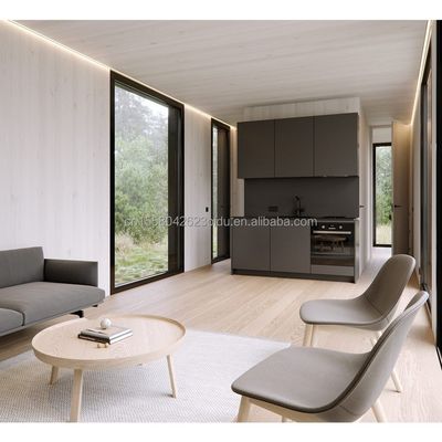 Moderno UE 20ft Assemblaggio rapido Case in legno Container Hotel Negozio per ufficio in colore personalizzato
