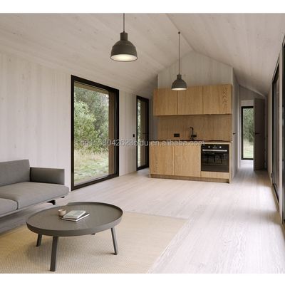 20ft Mobile Home Garden Studio Prefabbricato Customisable Steel Container House con Parete 50/75/100mm Wave Sandwich Panel