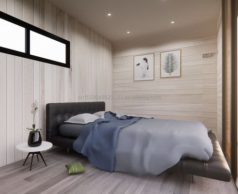 Casa a forma speciale con colore personalizzato e installazione veloce