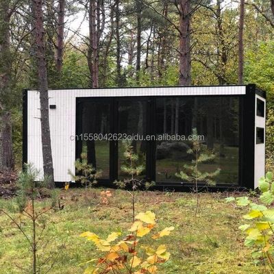 OEM 20ft Multi Funzionale Luxury Flat Pack Container House Casa con 50/75/100mm Wave Sandwich Panel Parete